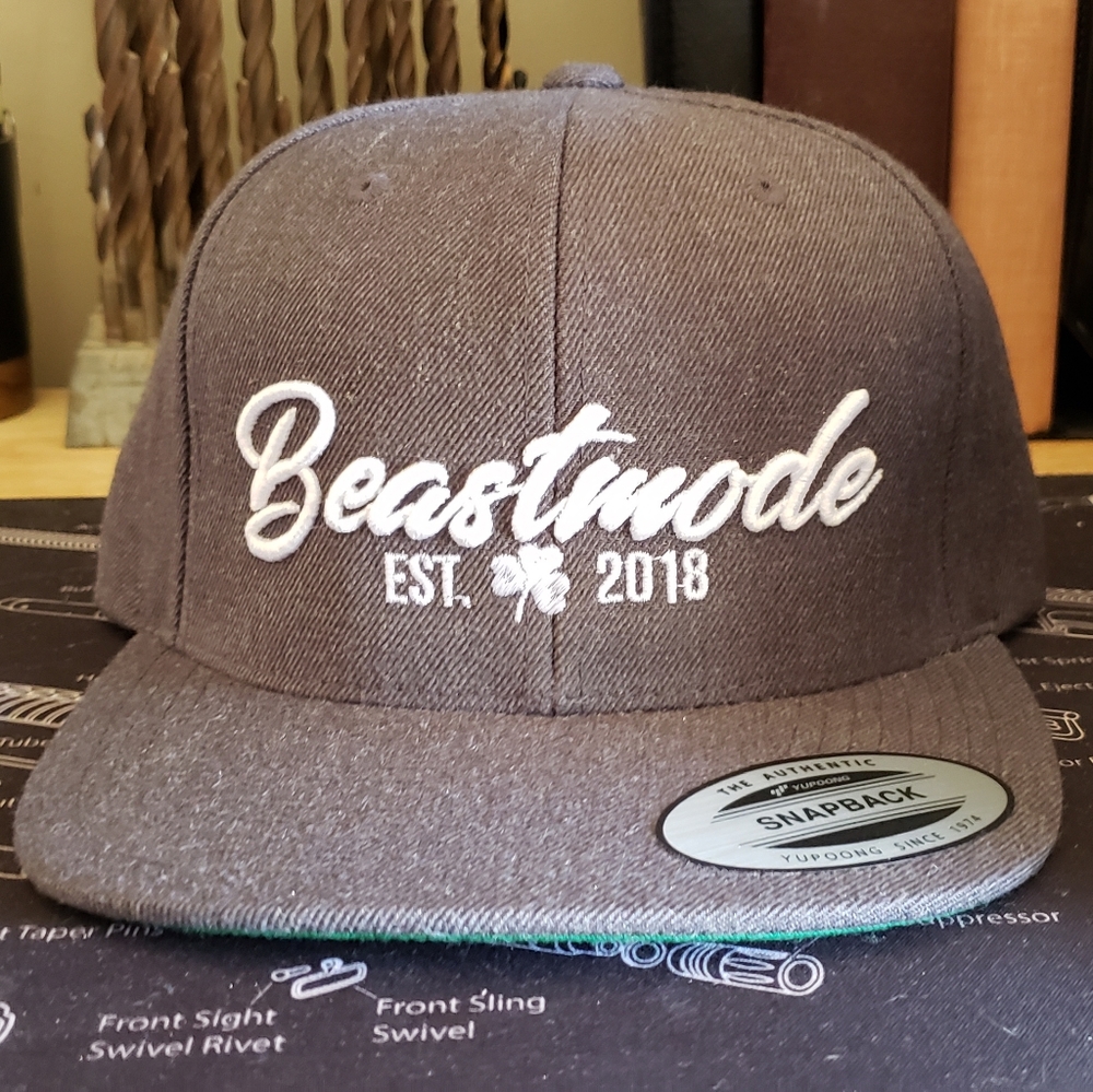 Beastmode snapback hat